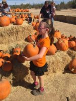 Pumpkin Patch and Fall Festival List 2017