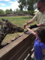 The Zoo Review! The Five Best Zoos and Wildlife Parks in Arizona