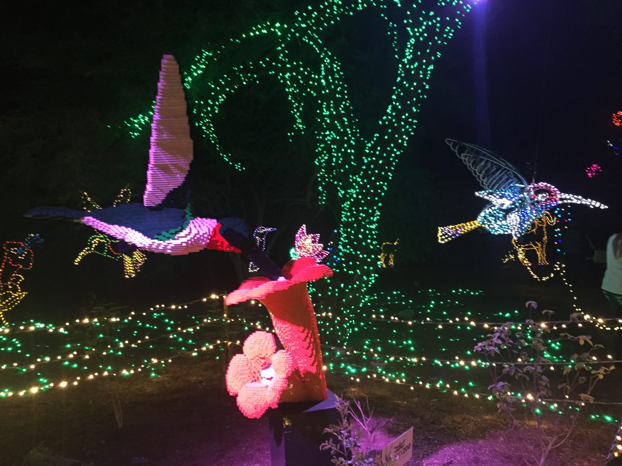 Zoo Lights - Hummingbirds