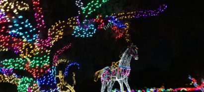 A Season of Light – Holiday Light Displays Around Phoenix