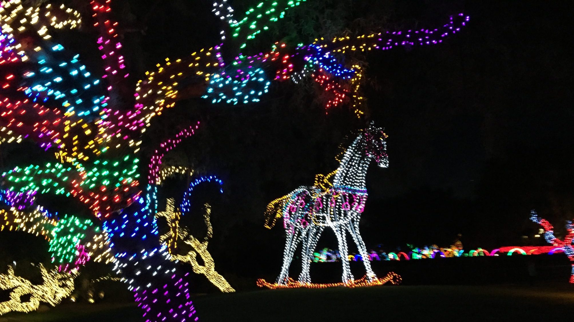 A Season of Light – Holiday Light Displays Around Phoenix