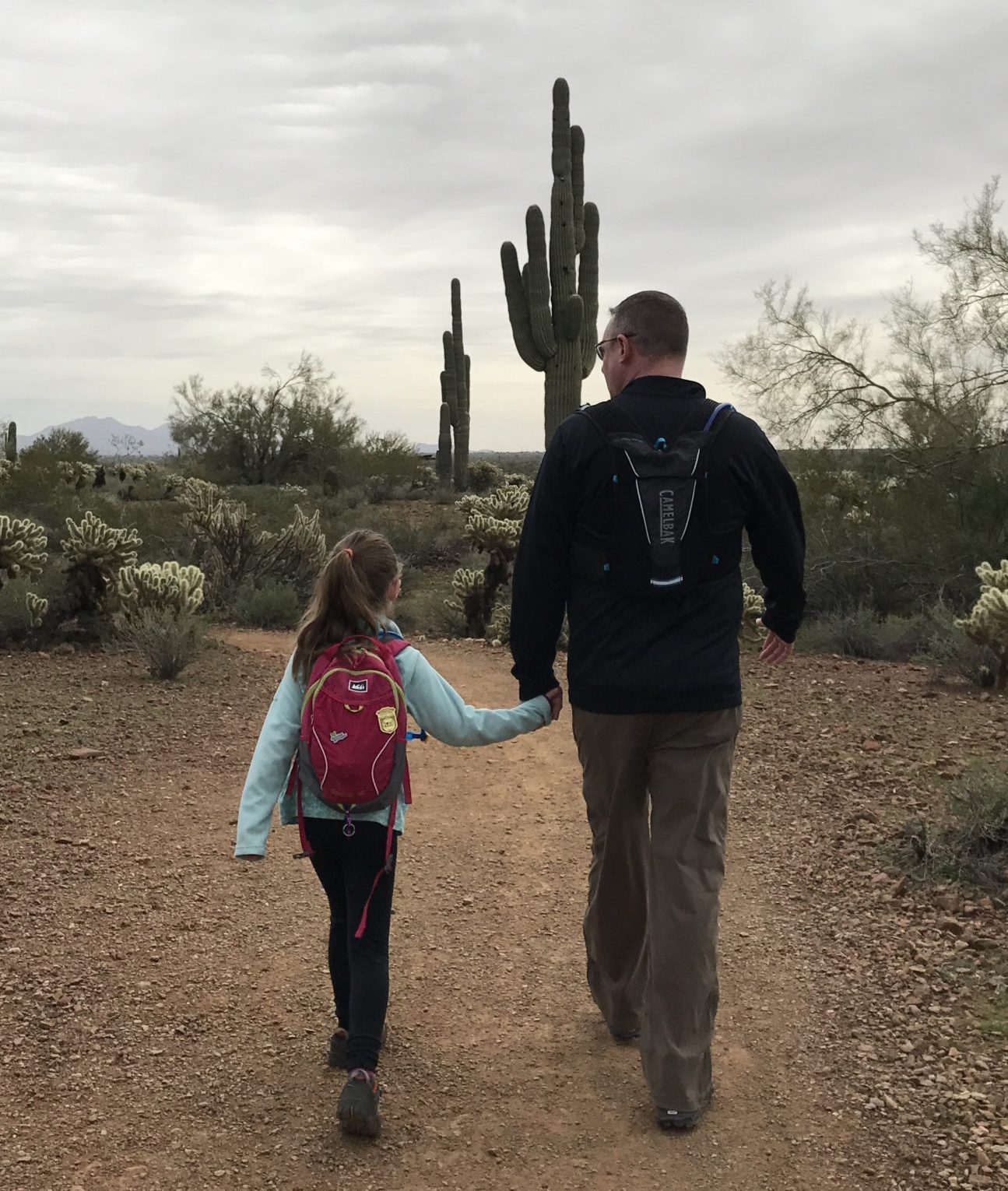 Ladybug’s Favorite Hiking Spots in Phoenix for Kids