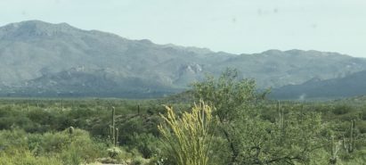 Summer Road Trip Arizona: Travel Tips for Heading North with Your Kids