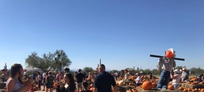 Pumpkin Patch Season Has Arrived – Tips for Pumpkin Patching in Arizona