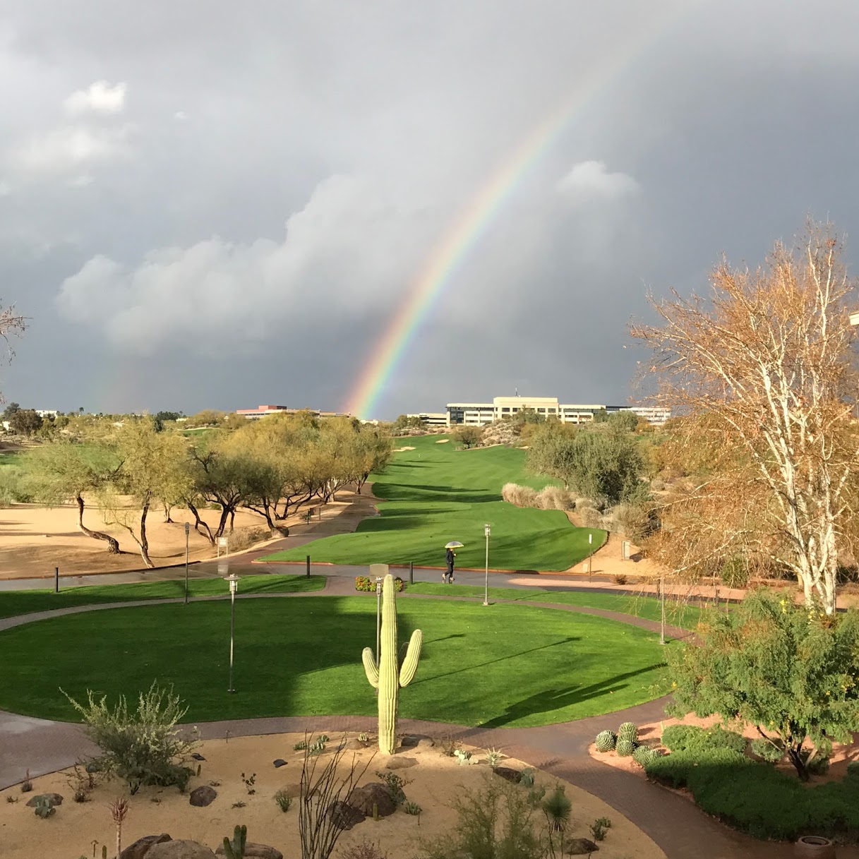 Kids and Golf in Arizona