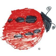 Ladybug's Blog